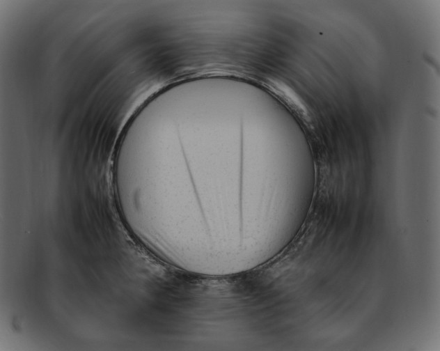 X0000092061190200710101028