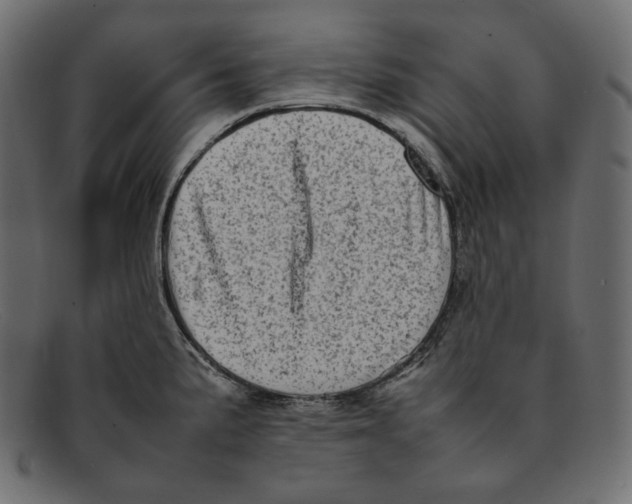 X0000092061191200710101028