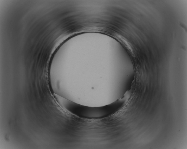 X0000092061192200710101028