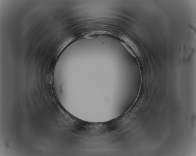 X0000092061193200710101028