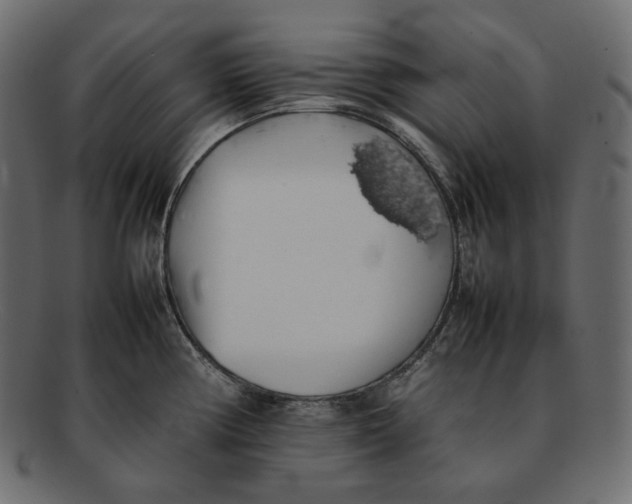 X0000092061194200710101028