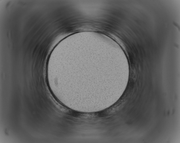 X0000092061195200710101028