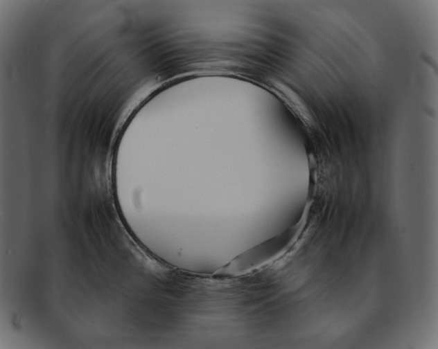 X0000092061196200710101028