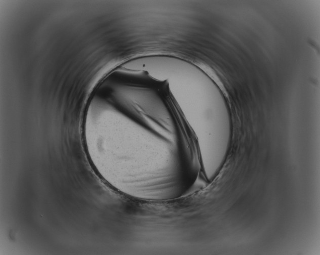 X0000092061197200710101028