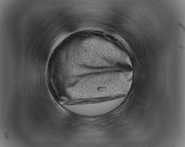 X0000092061199200710101028