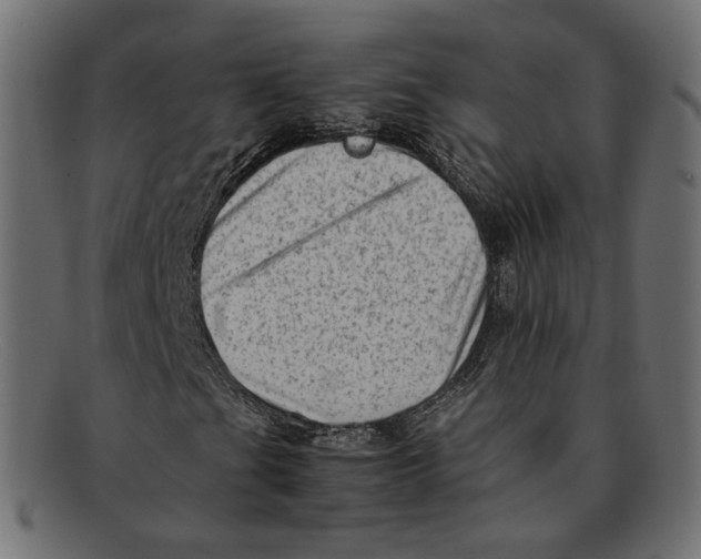 X0000092061201200710101027