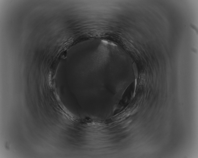 X0000092061202200710101027