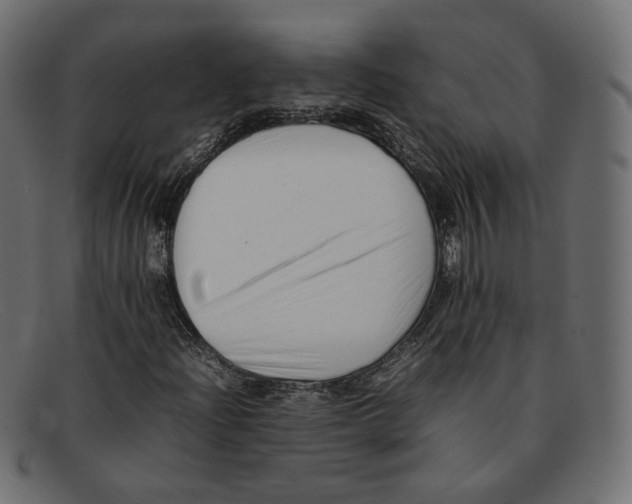 X0000092061204200710101027