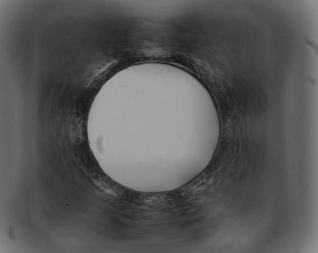 X0000092061205200710101027