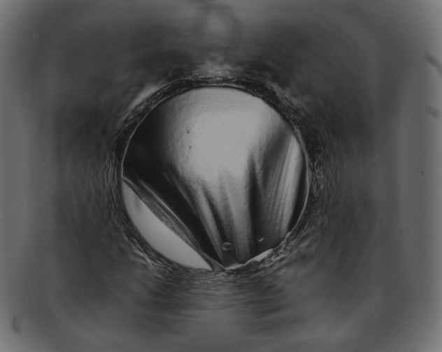 X0000092061206200710101027