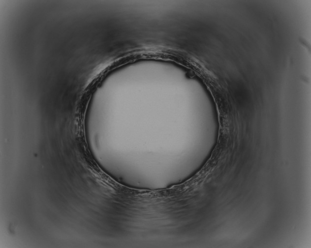 X0000092061208200710101027