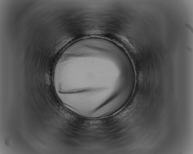 X0000092061209200710101027