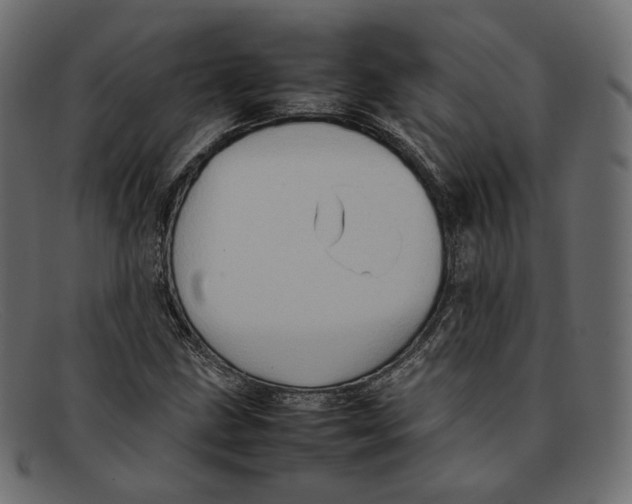 X0000092061211200710101028