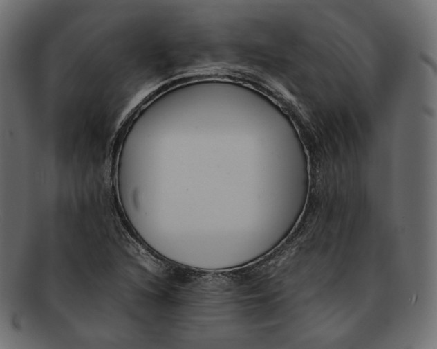 X0000092061216200710101028