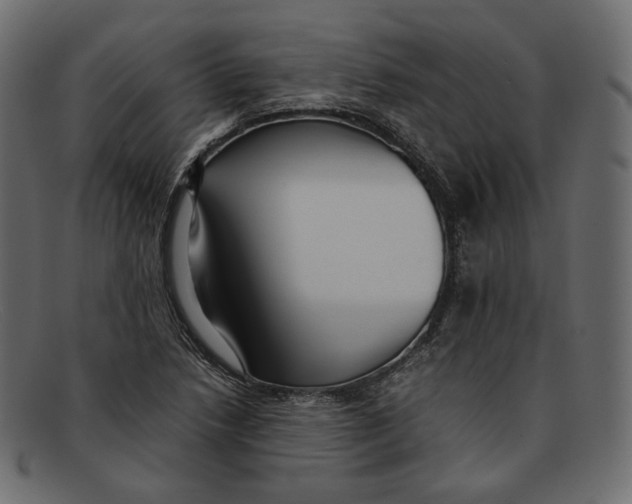 X0000092061218200710101028