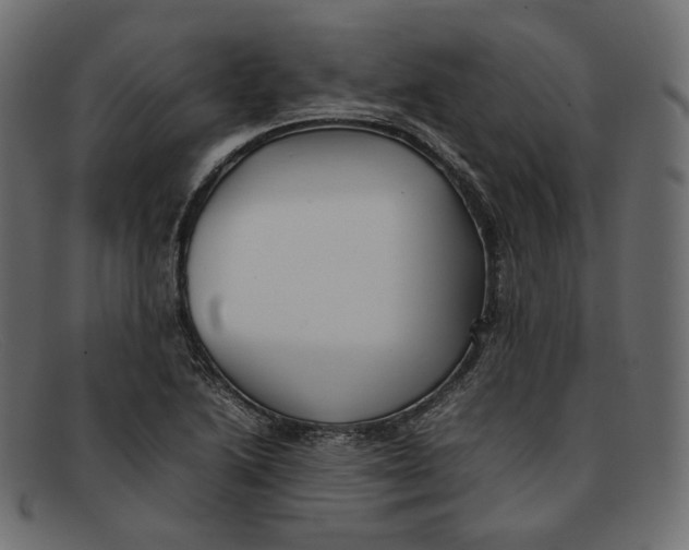 X0000092061222200710101028