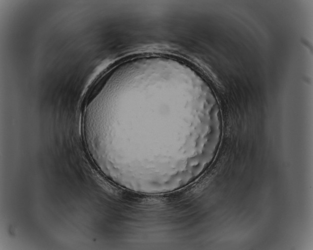 X0000092061224200710101028