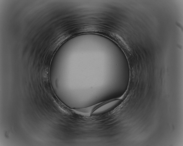 X0000092061225200710101028