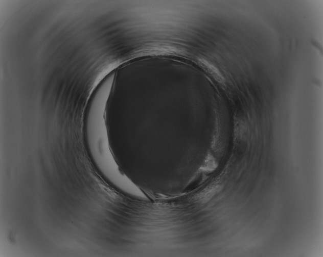 X0000092061226200710101028