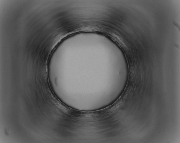 X0000092061228200710101028