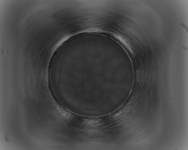 X0000092061229200710101028