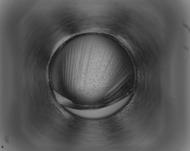 X0000092061230200710101028