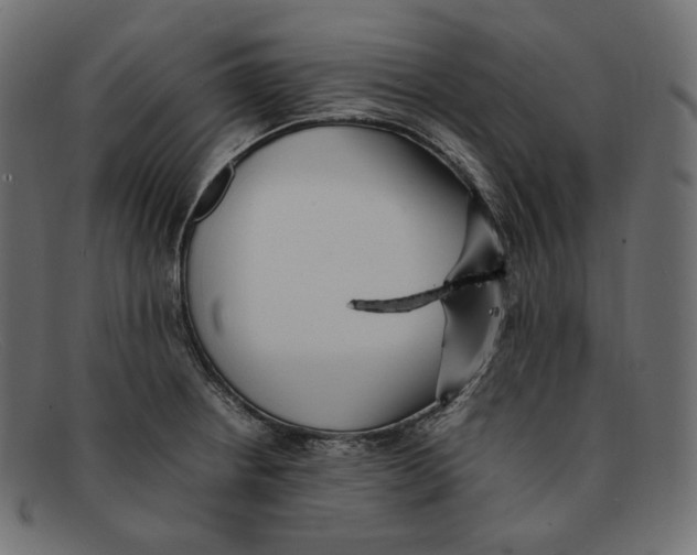 X0000092061234200710101028