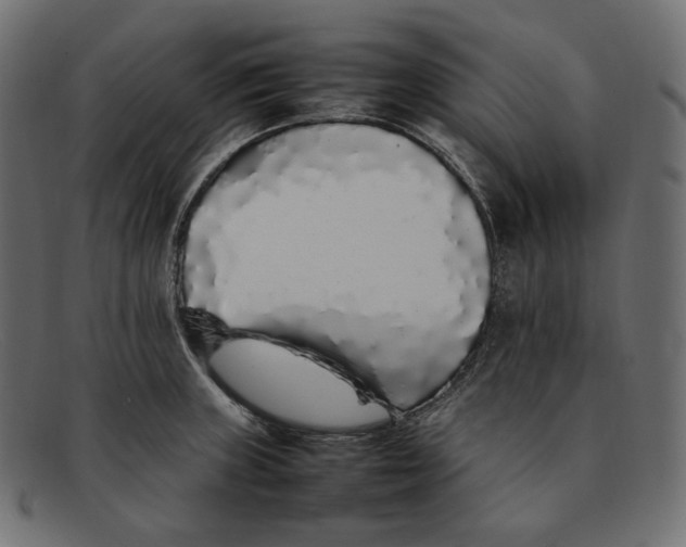 X0000092061235200710101028