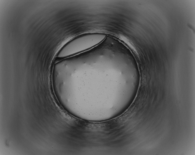 X0000092061237200710101028