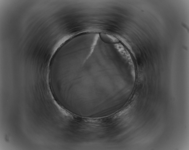 X0000092061245200710101028