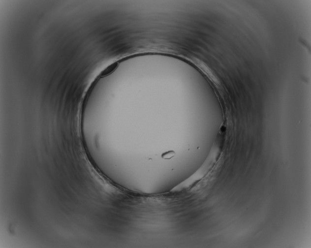 X0000092061246200710101028