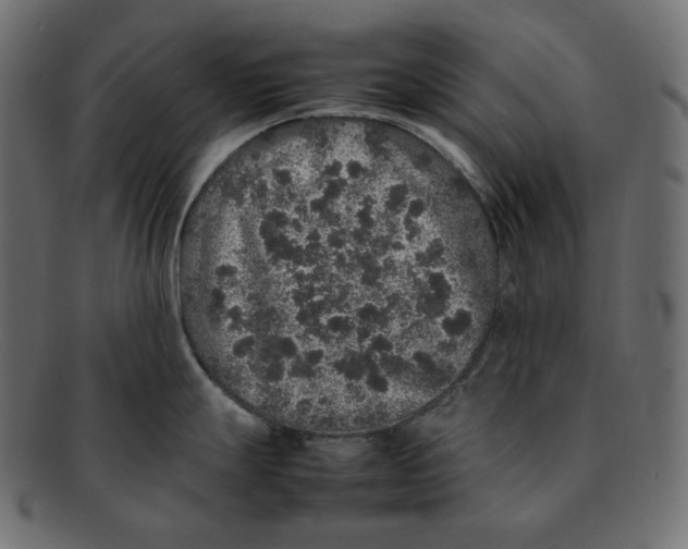 X0000092061247200710101028