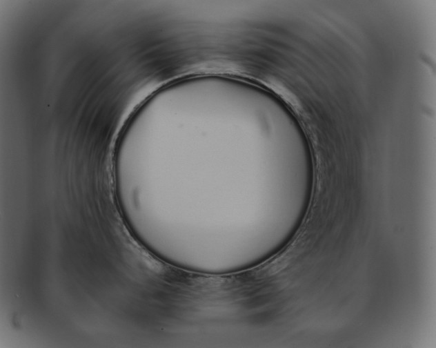 X0000092061248200710101028