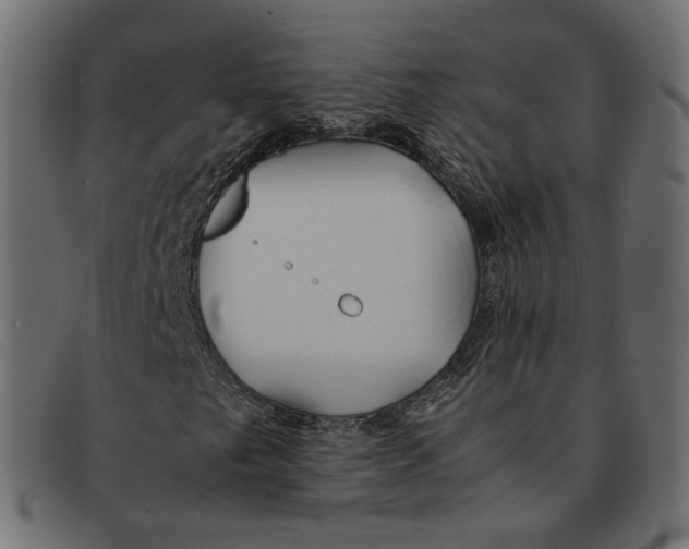 X0000092061249200710101027