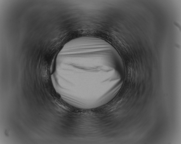 X0000092061250200710101027