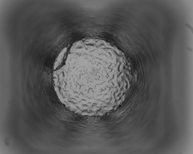 X0000092061251200710101027