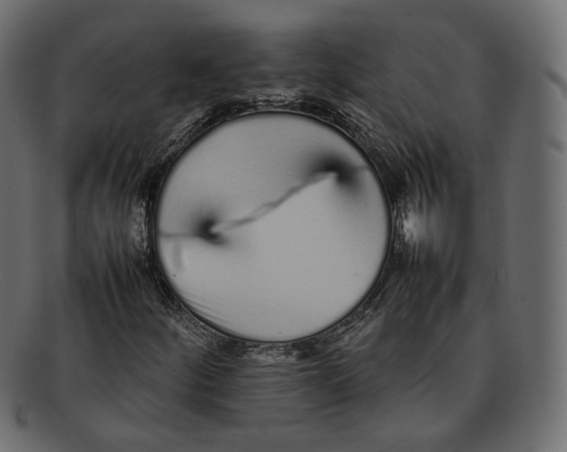 X0000092061252200710101027