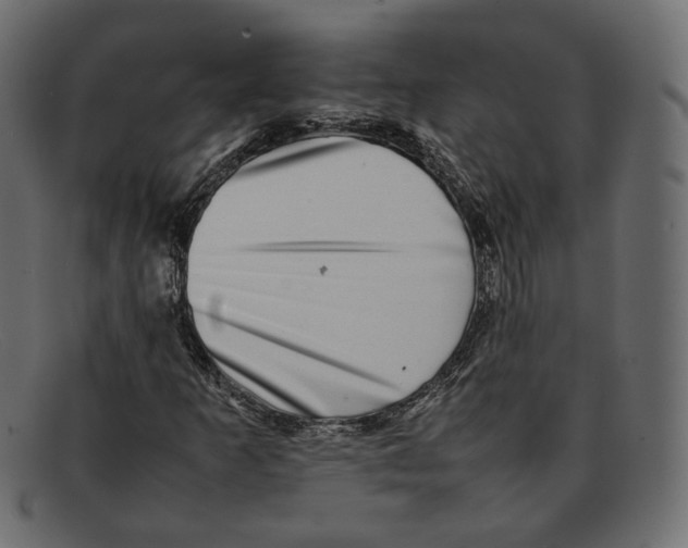 X0000092061253200710101027