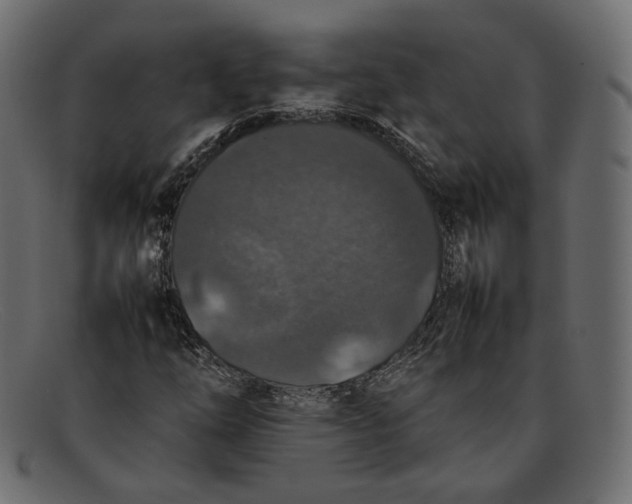 X0000092061254200710101027