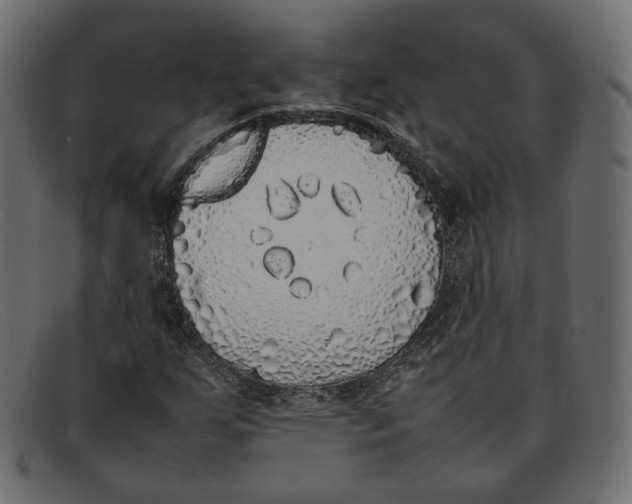 X0000092061255200710101027