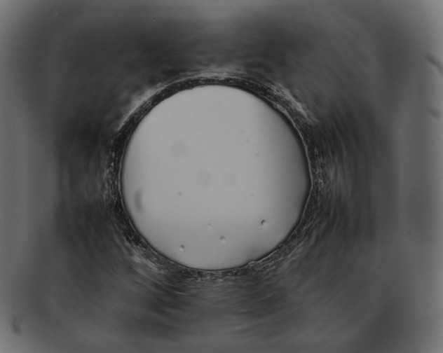 X0000092061256200710101027