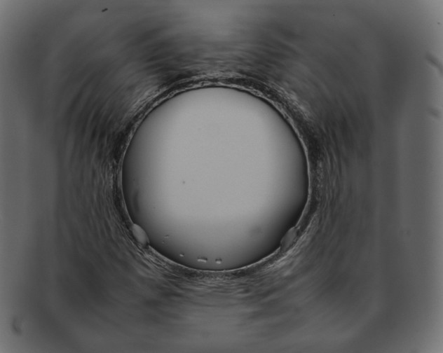 X0000092061257200710101027