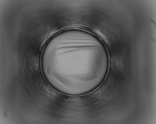 X0000092061260200710101027