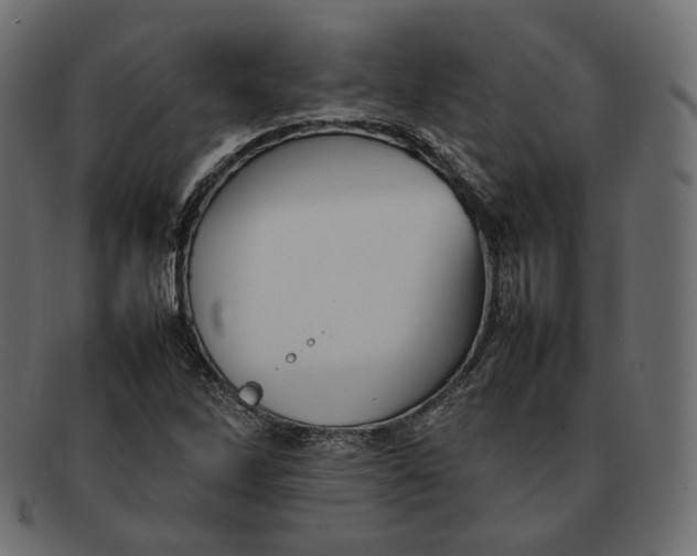 X0000092061262200710101027