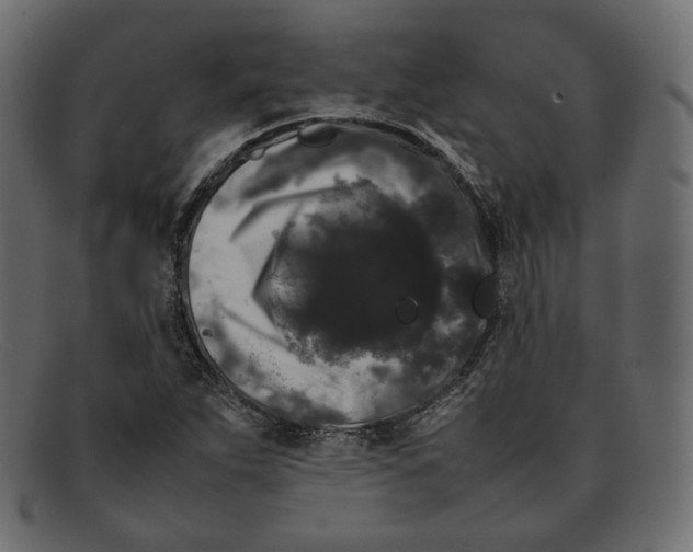 X0000092061263200710101027