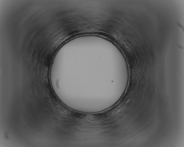 X0000092061265200710101027