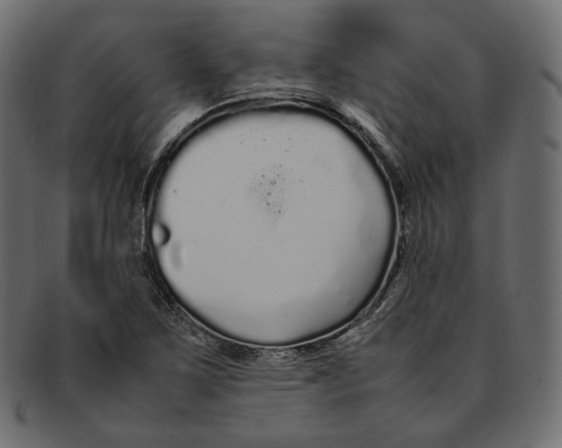 X0000092061267200710101027