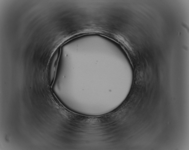 X0000092061268200710101027