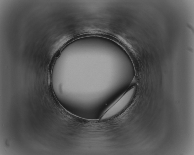 X0000092061269200710101027