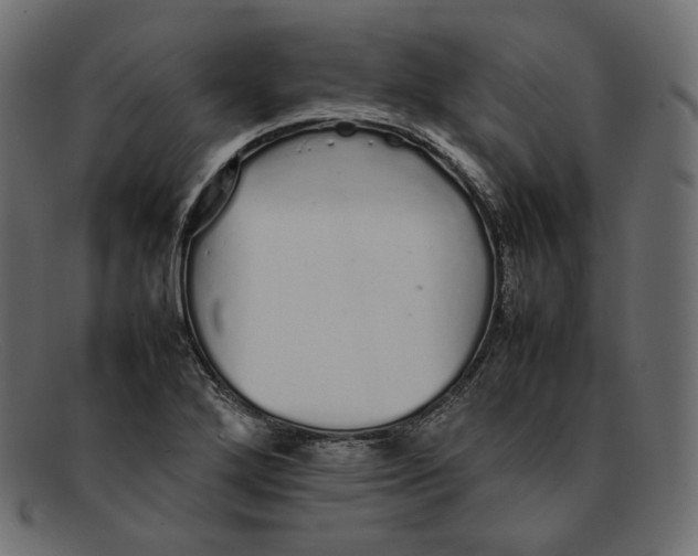 X0000092061272200710101027